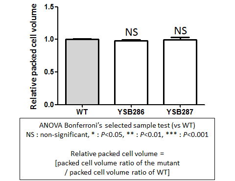 Capsule phenotype for CNAG_00106T0