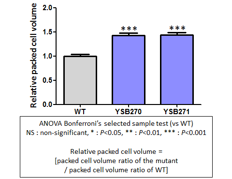 Capsule phenotype for CNAG_00130T0