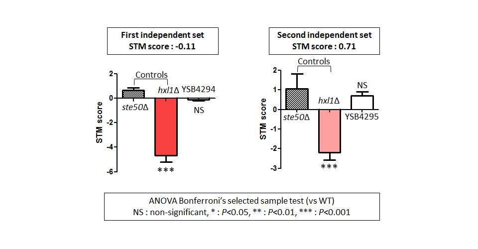STM murine host model data for CNAG_00266T0