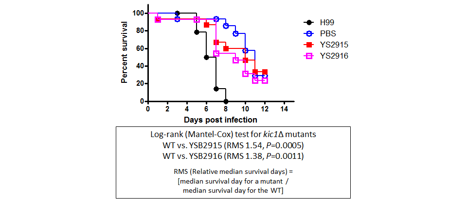Galleria mellonella virulence data for CNAG_00405T0