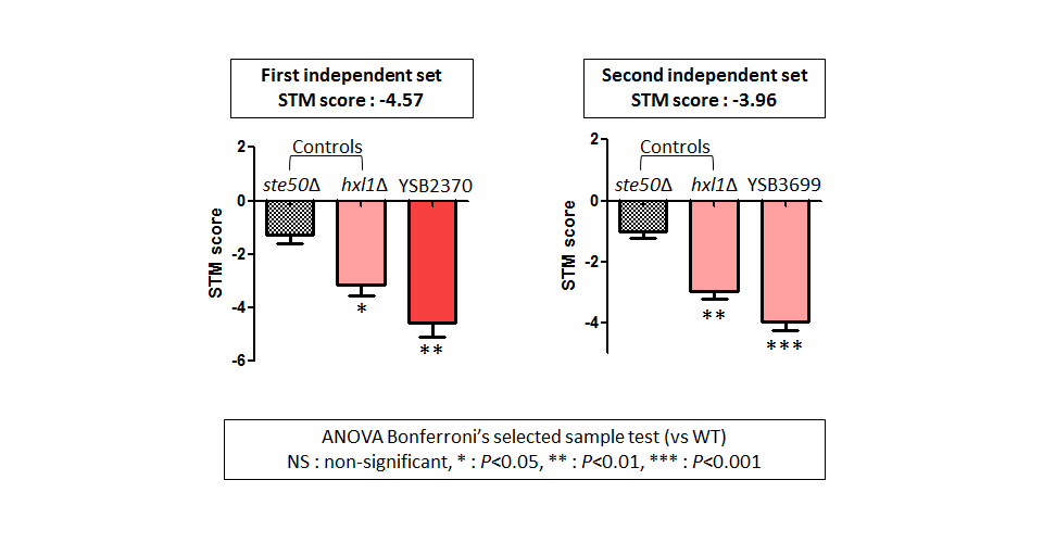 STM murine host model data for CNAG_00415T0
