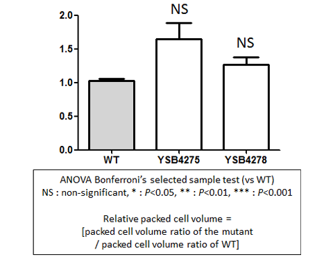 Capsule phenotype for CNAG_00556T1