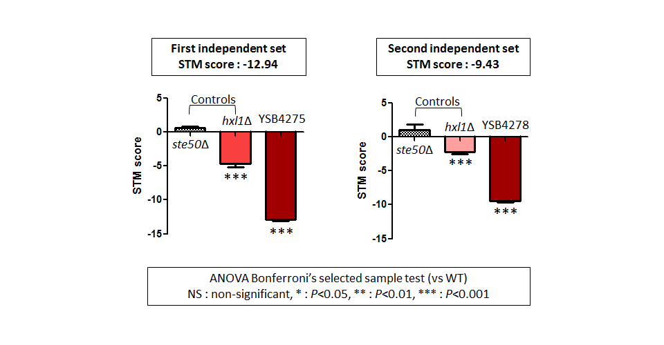 STM murine host model data for CNAG_00556T1