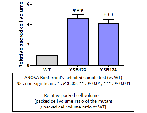 Capsule phenotype for CNAG_00769T0