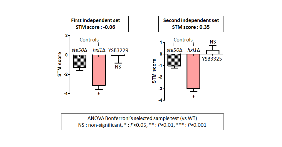 STM murine host model data for CNAG_00782T0