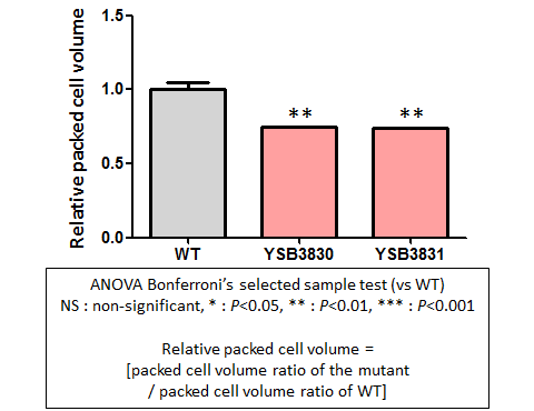 Capsule phenotype for CNAG_01704T0