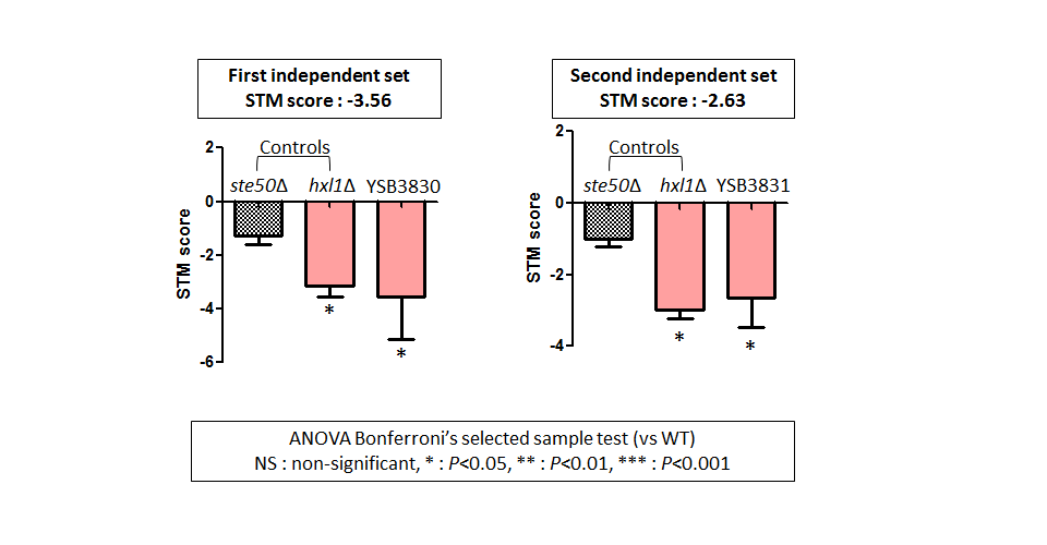 STM murine host model data for CNAG_01704T0