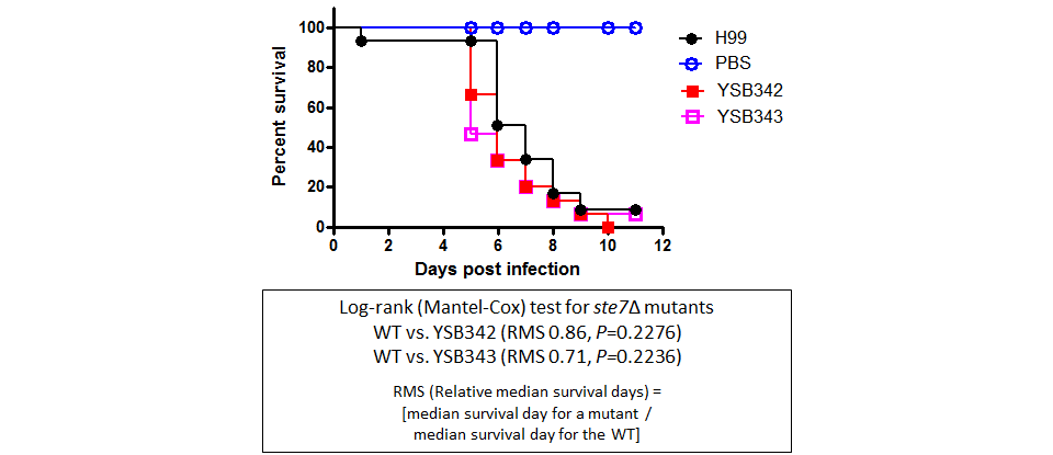Galleria mellonella virulence data for CNAG_01730T0