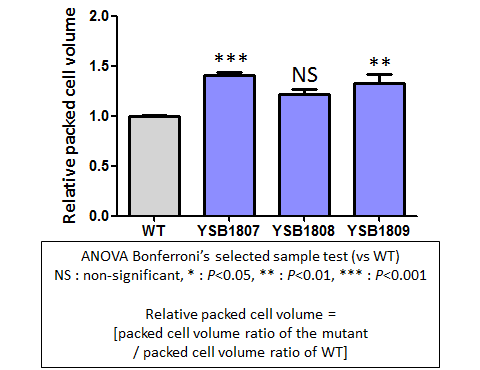 Capsule phenotype for CNAG_01905T0