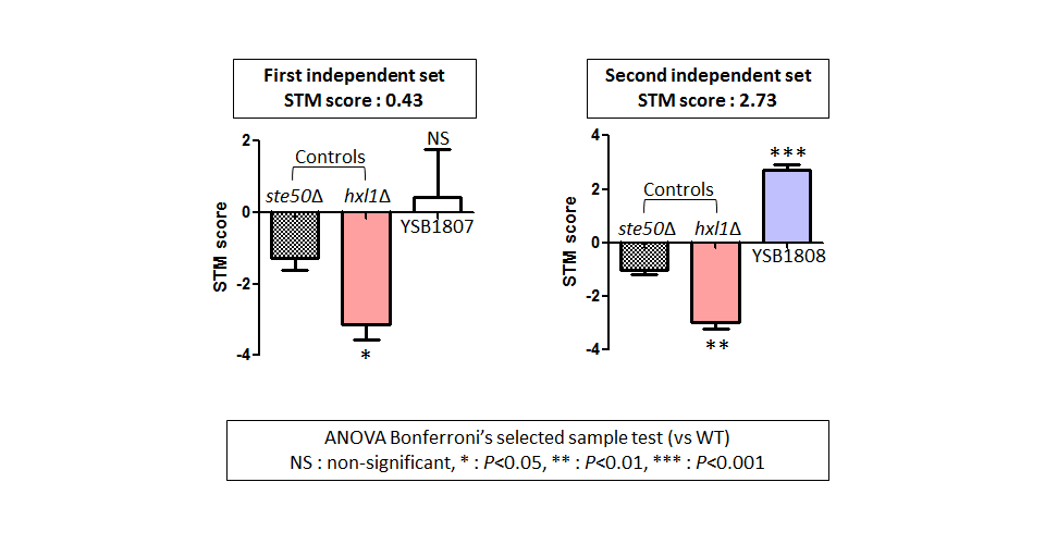 STM murine host model data for CNAG_01905T0