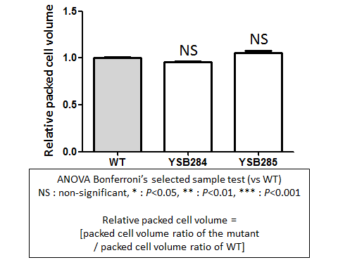 Capsule phenotype for CNAG_01988T0