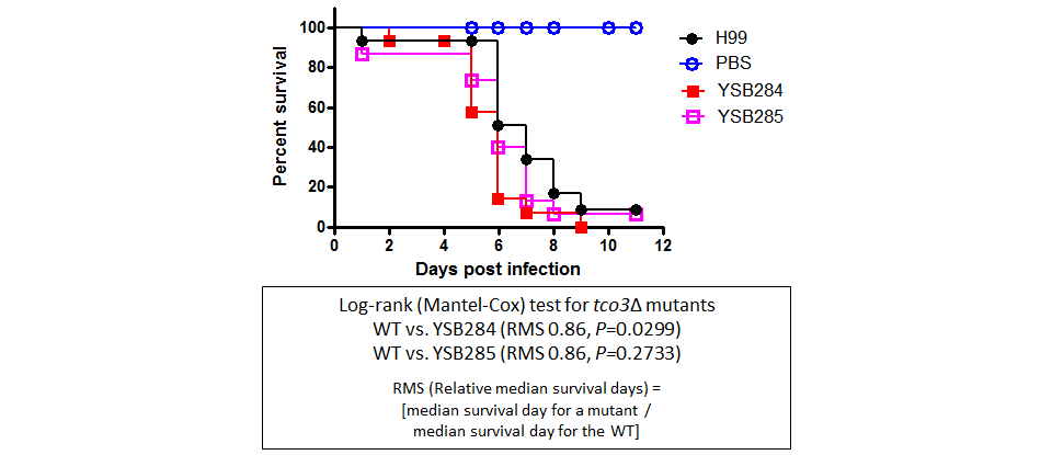 Galleria mellonella virulence data for CNAG_01988T0