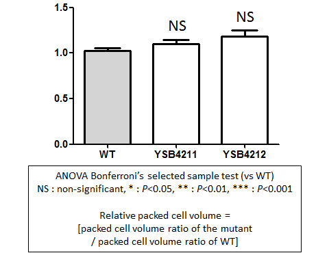 Capsule phenotype for CNAG_02007T0
