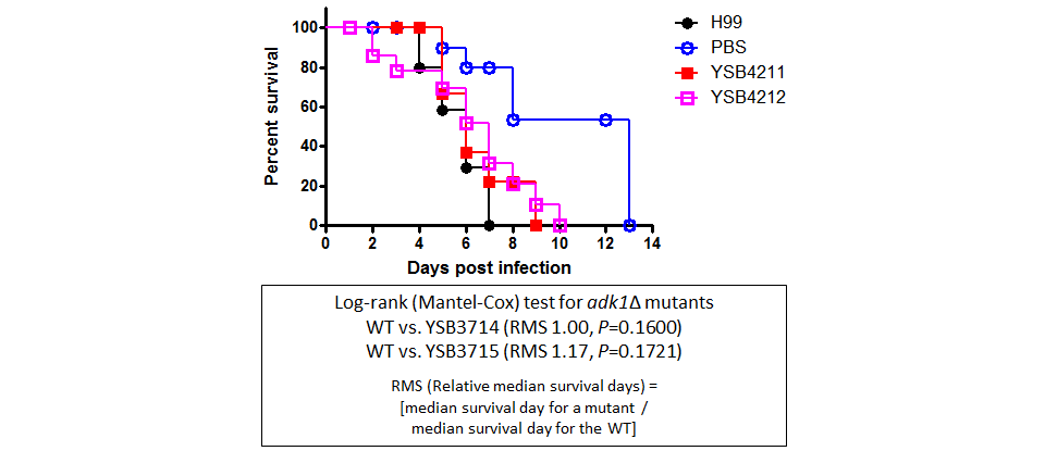 Galleria mellonella virulence data for CNAG_02007T0