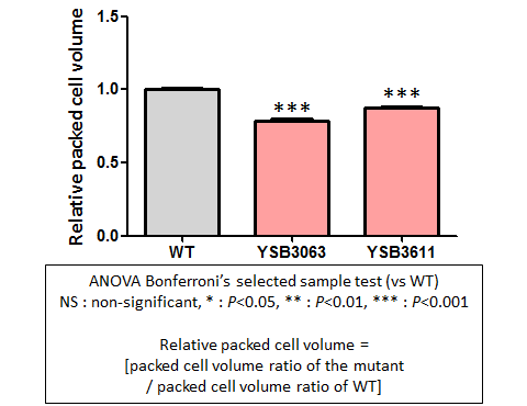 Capsule phenotype for CNAG_02233T0