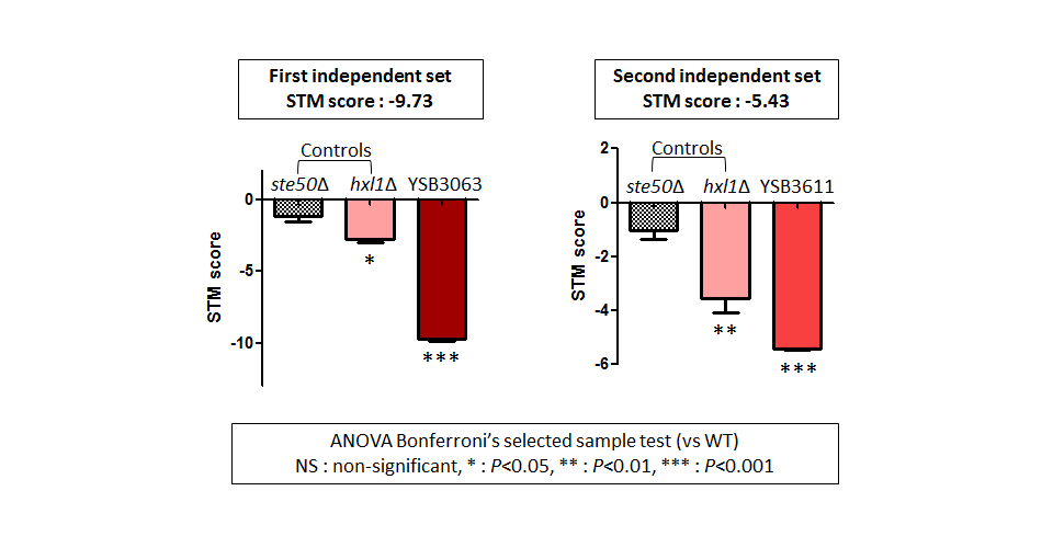 STM murine host model data for CNAG_02233T0