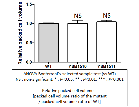 Capsule phenotype for CNAG_02296T0