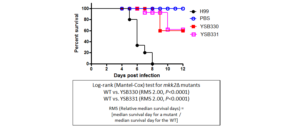 Galleria mellonella virulence data for CNAG_02357T0