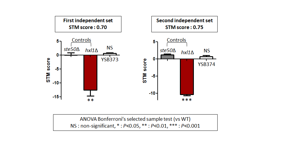 STM murine host model data for CNAG_02531T0