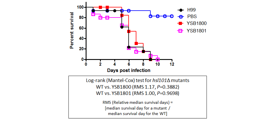Galleria mellonella virulence data for CNAG_02675T0