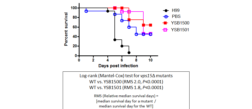 Galleria mellonella virulence data for CNAG_02680T0
