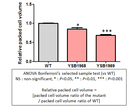 Capsule phenotype for CNAG_02712T0