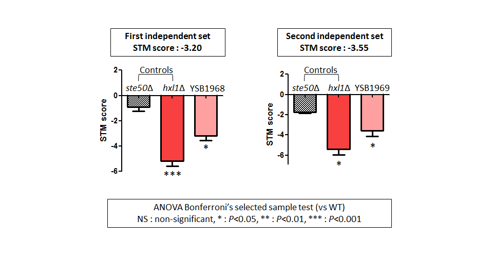 STM murine host model data for CNAG_02712T0
