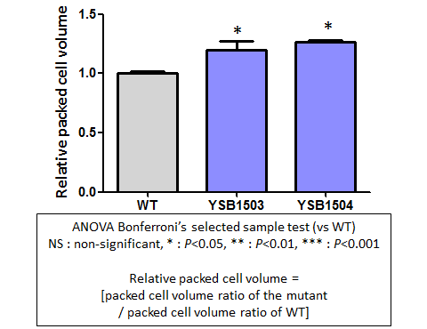 Capsule phenotype for CNAG_02802T0