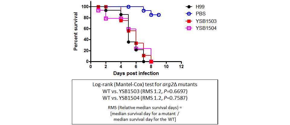 Galleria mellonella virulence data for CNAG_02802T0