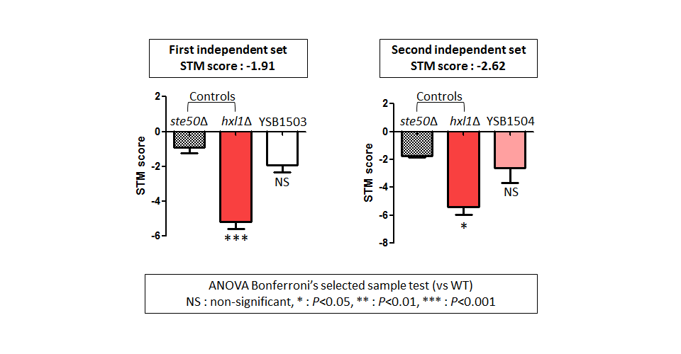 STM murine host model data for CNAG_02802T0