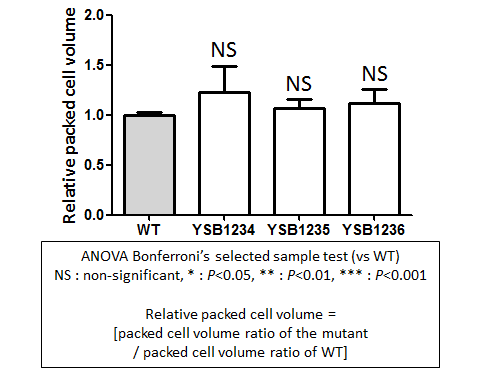 Capsule phenotype for CNAG_02820T0