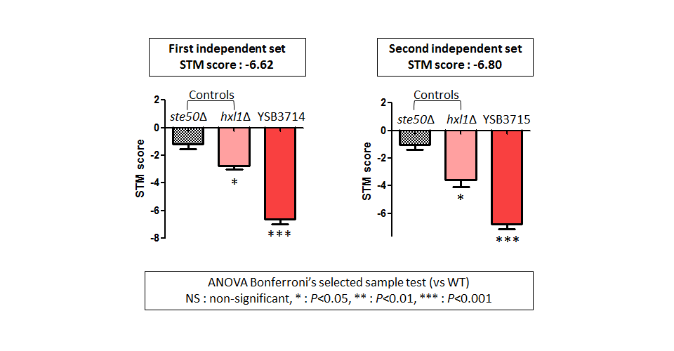 STM murine host model data for CNAG_02859T0