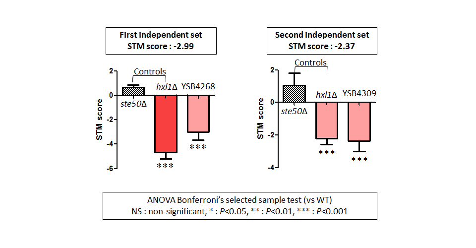 STM murine host model data for CNAG_02915T0