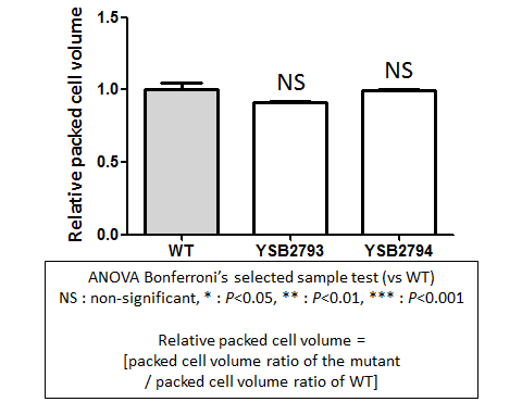 Capsule phenotype for CNAG_02947T0
