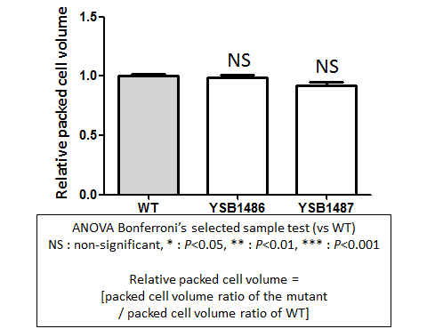 Capsule phenotype for CNAG_03048T0