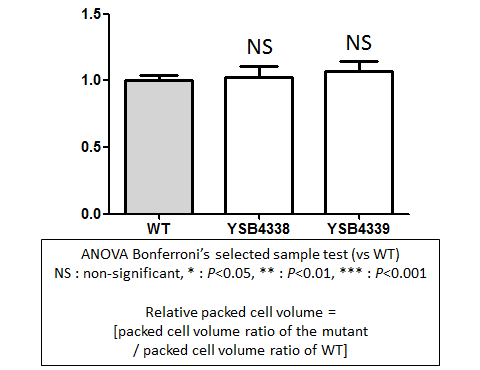 Capsule phenotype for CNAG_03137T0