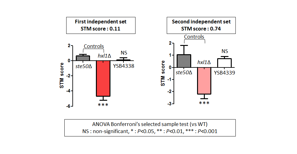 STM murine host model data for CNAG_03137T0