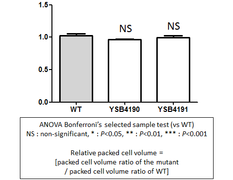 Capsule phenotype for CNAG_03184T0