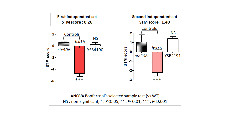 STM murine host model data for CNAG_03184T0