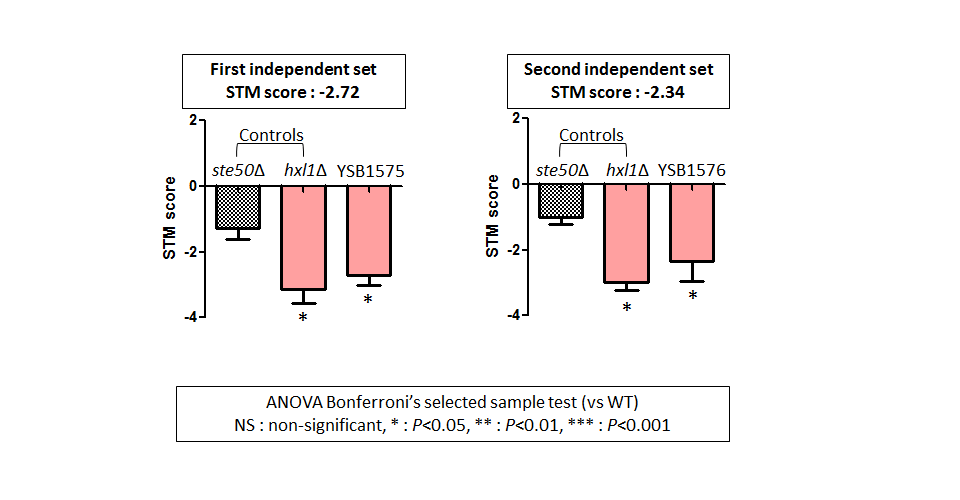 STM murine host model data for CNAG_03216T0