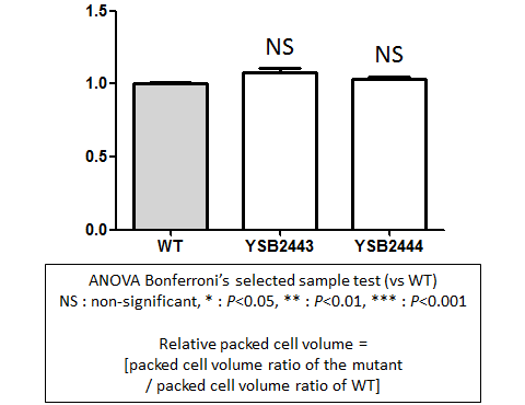 Capsule phenotype for CNAG_03258T0