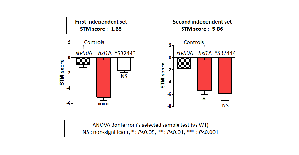 STM murine host model data for CNAG_03258T0