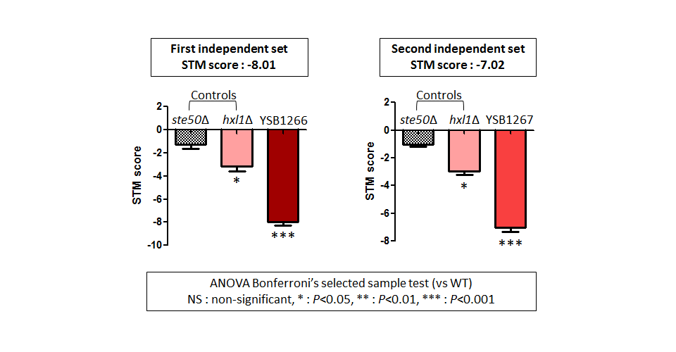 STM murine host model data for CNAG_03367T0