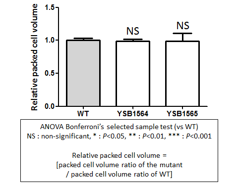 Capsule phenotype for CNAG_03369T0