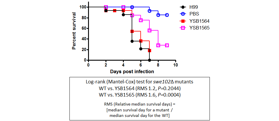 Galleria mellonella virulence data for CNAG_03369T0
