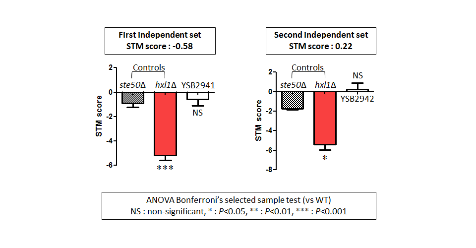 STM murine host model data for CNAG_03567T0
