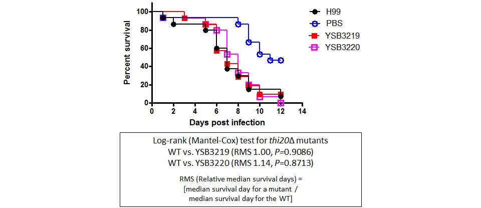 Galleria mellonella virulence data for CNAG_03592T0