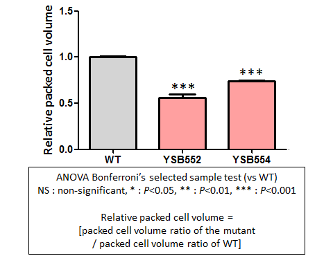 Capsule phenotype for CNAG_03670T0