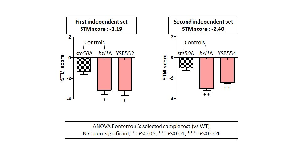 STM murine host model data for CNAG_03670T0