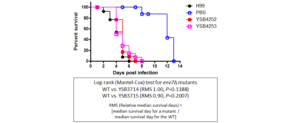 Galleria mellonella virulence data for CNAG_03796T0